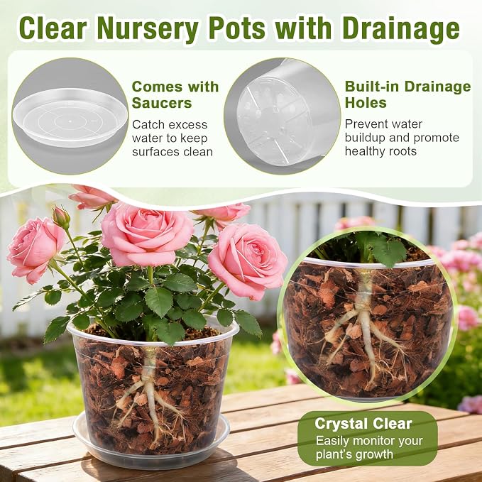 6 Inch Clear Nursery Pots with Drainage and Saucers, 15 Pack Large Clear Plastic Nursery Pots for Plants, Seedling Plant Pots for Repotting and Growing Plants, Flowers & Vegetables (6 inch)