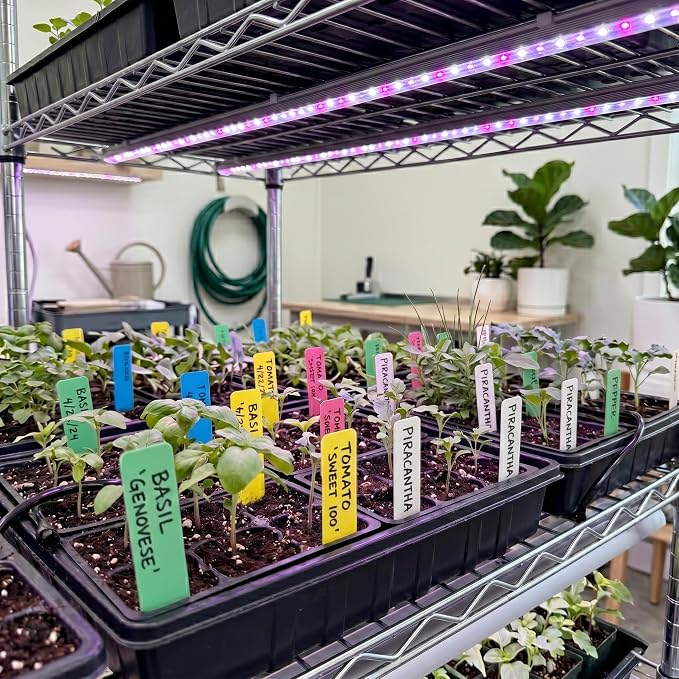 SumDirect 500PCS Plant Labels for Seedlings, 5 Colors, 6 inch Waterproof Plastic Plant Name Tags, Plant Markers for Seed Starting, Garden, Greenhouse