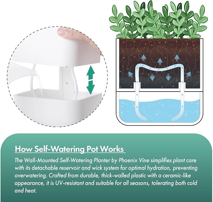 Phoenix Vine 6.5 Inch Wall Mounted Self-Watering Planter Pot for Indoor Houseplants and Herbs | Hanging Planter for Window Sills, Bathroom Walls, Home & Office Décor, White, Set of 2, 01-C-D-2