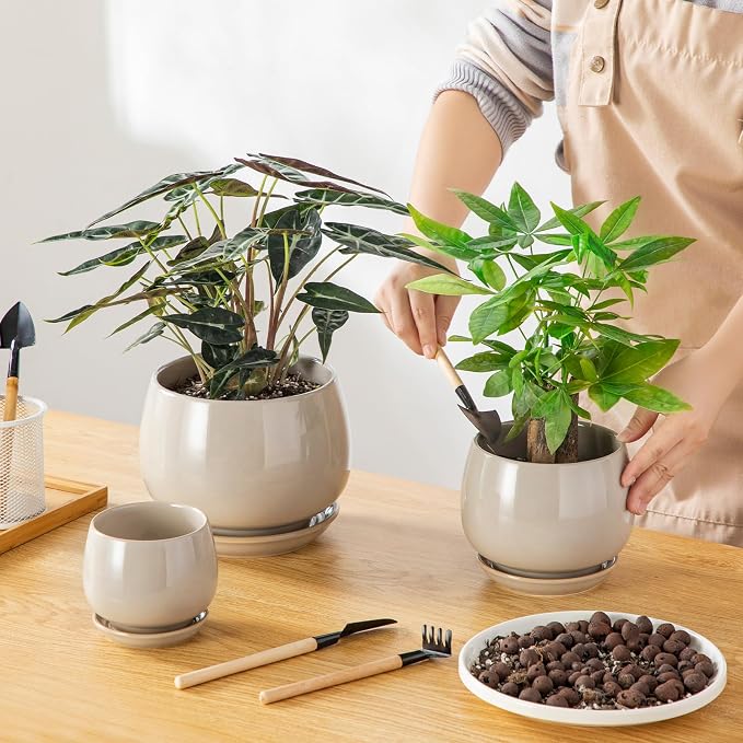 vancasso 3-Pack Ceramic Plant Pots, 3.7/4.8/6.2 Inch Indoor Planters with Saucers & Drainage Hole Planter pots for Indoor Plants and Flower, Gray