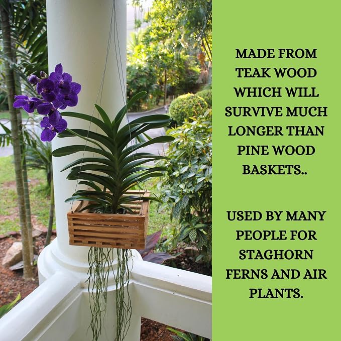 Set of 3 Strong Teak Wood Orchid Baskets for Outdoors with Hangers, 1 is 10 Inches Wide, 1 is 8 Inches, 1 is 6 Inches, for Orchids, Staghorn Ferns, Orchid Gifts