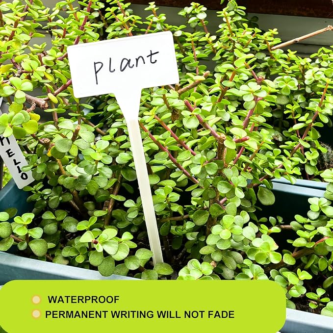 Mziart 30 Pack Large Plant Labels for Outdoor Garden Labels, Waterproof 12 Inch Tall T-Type Plastic Plant Tags Stakes Garden Markers for Herbs Flowers Vegetables, White