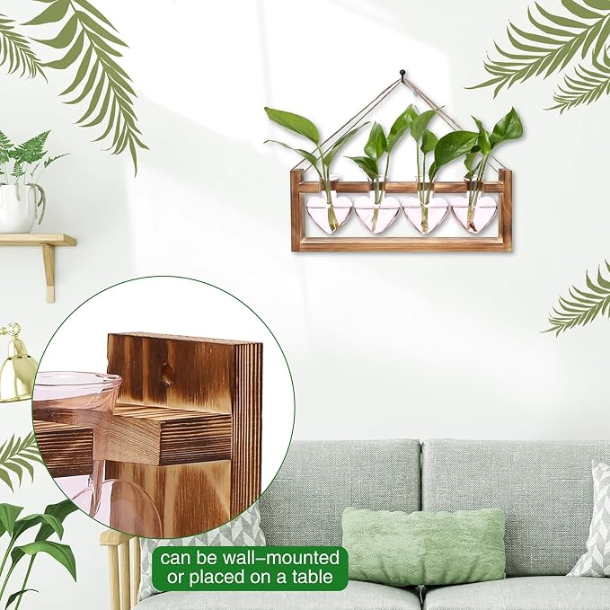 Plant Propagation Stations Heart Plant Terrarium Kit | Gift for Women Plant Lover Glass Vases