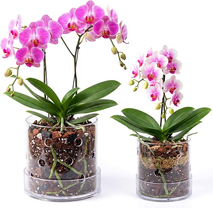 4 Inch 5 Inch Clear Acrylic Orchid Planter Pot with 360° Round Holes & Tray, Thick Acrylic Vented Planter for Phalaenopsis, Root Airflow, Bottom Watering & Indoor Orchid Repotting