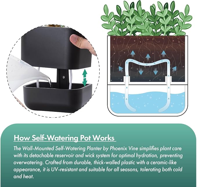 Phoenix Vine 3.5 Inch Wall Mounted Self-Watering Planter Pot for Indoor Houseplants and Herbs | Hanging Planter for Window Sills, Bathroom Walls, Home & Office Décor, Black, Set of 2, 01-A-E-2