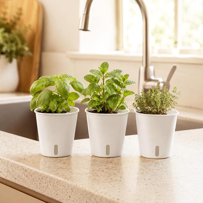 3" Self Watering Pots - 10 Sets Planter Pots for Indoor Plants With Water Level Indicator and Multiple Vents - for House Plants, Flowers, Herbs