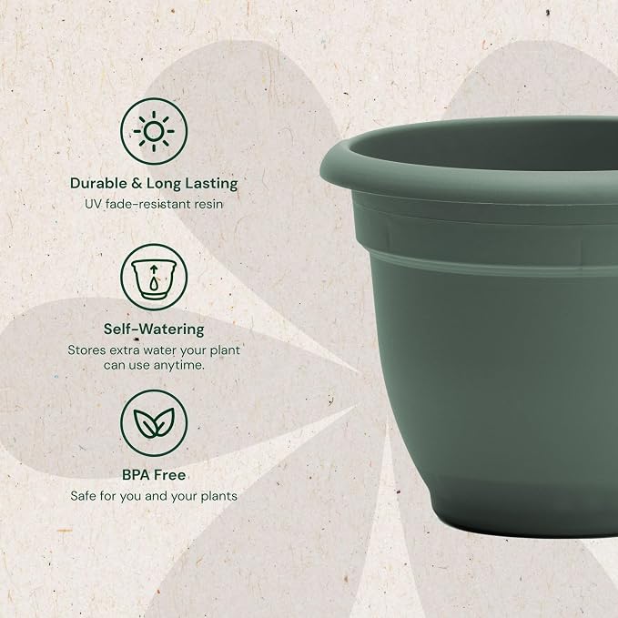 Bloem Ariana 6" Basil Round Self Watering Planter Pot - Rolled Rim Plastic Resin Indoor or Outdoor Gardening Planter with Drainage Holes, Made in USA