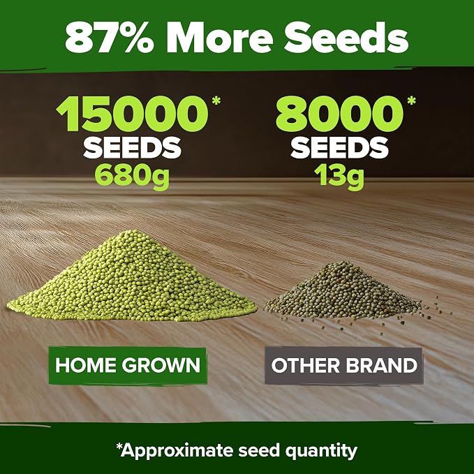 HOME GROWN Mung Beans Seeds Pack 1.5 lb Over 15,000 Sprouting Seeds Grow Fresh Bean Sprouts or Microgreens for Quick, Easy, Nutrient-Packed Food for Your Daily Meals (Vigna Radiata)
