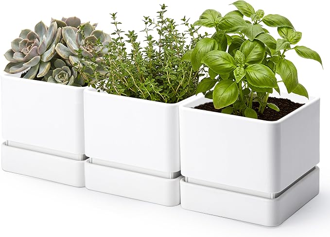 D'vine Dev 6 Inch Herb Planter Pot, Plastic Planter with Drainage Holes and Saucer, Modern Decorative Gardening Pot for Indoor Plants, Flowers, Herbs, Succulents, White, Set of 3, 76-Y-A3-2