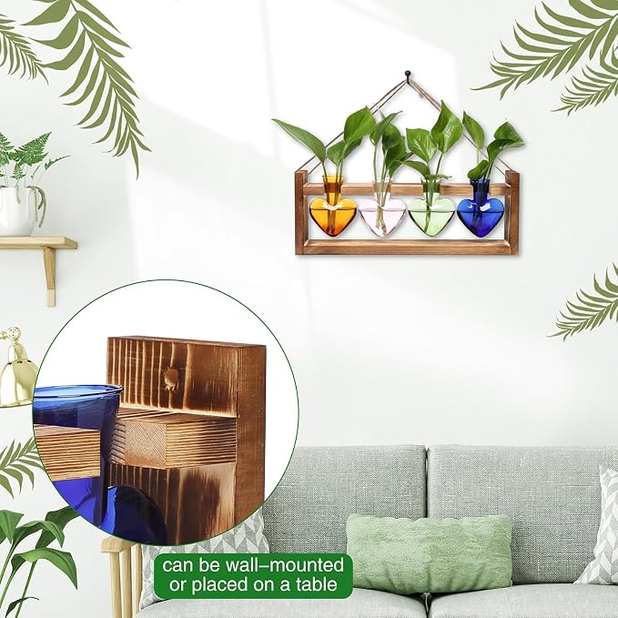 Plant Propagation Stations Heart Plant Terrarium Kit | Gift for Women Plant Lover Glass Vases