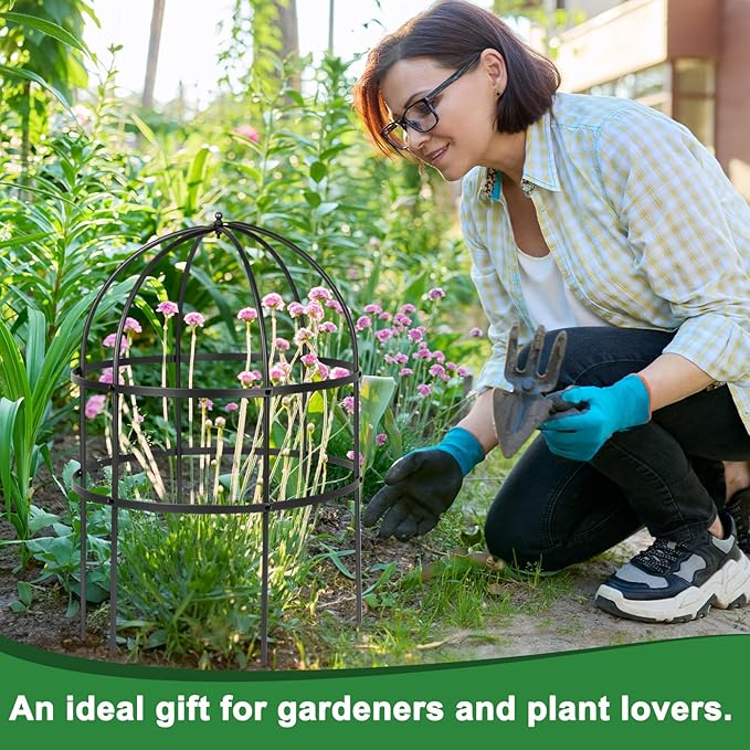 2 Pcs Jardin Bird Cage Plant Support 24" H Large Sturdy Grow-Through Flower Support Peony Cage Climbing Plant Support Trellis Sculptural Garden Decor for Perennial Flowers (Black)