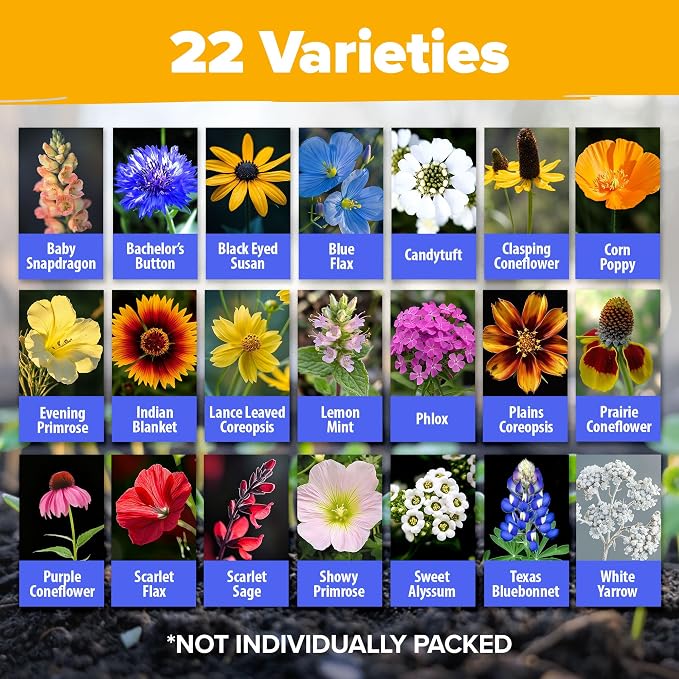 HOME GROWN Texas Wildflower Seeds Bulk Mix | 87,500+ Non-GMO Perennial Flower Seed for Attracting Bees, Birds & Butterflies | 22 Varieties for Full Sun & Shade Gardens | 2 oz