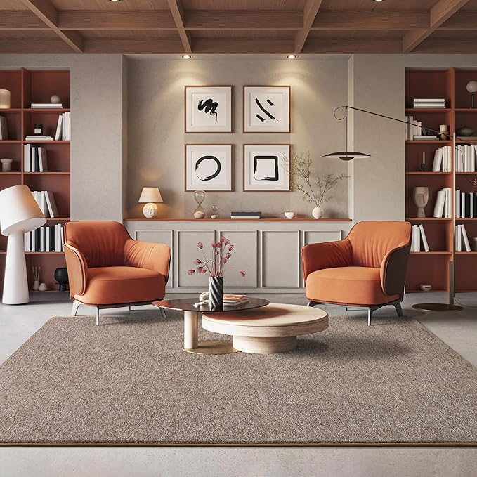 AROGAN 5x7 Area Rugs for Living Room Non Slip Dorm Bedroom Rug, Matte Brown | Modern Area Rugs with Soft Memory Foam, Minimalist Washable Indoor Floor Carpet for Dining Room Office Kids Playroom Decor