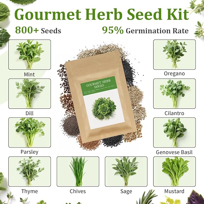 Indoor Herb Garden Starter Kit, 10 Non-GMO Herb Seeds for Basil, Parsley, Thyme, Mint, Cilantro, Dill, Oregano, Chives, Sage, Mustard Including 10 White Pots, Nutritional Soil, Ideal Xmas Gift