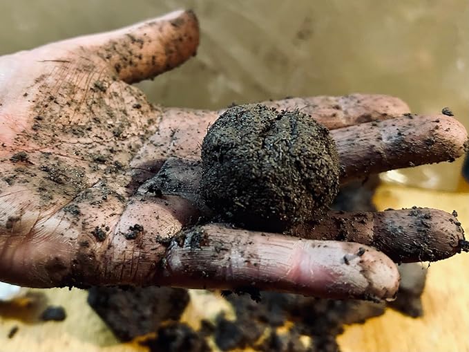 Seed Bomb Mud - Make DIY Seedballs 500grams
