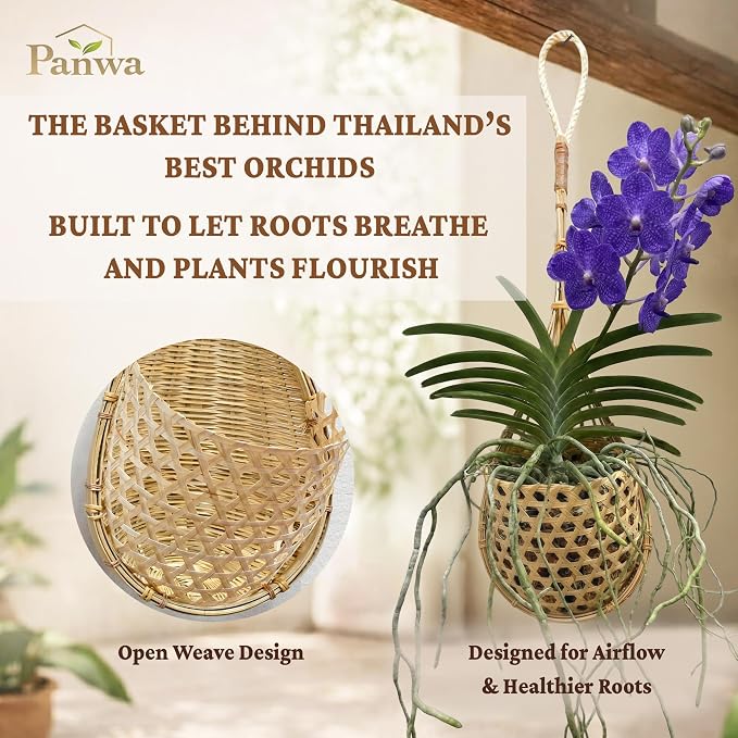 Premium Edition - Thai Natural Light Bamboo Super Sanctuary Orchid Hanging Basket 6 Inch (Set of 2)