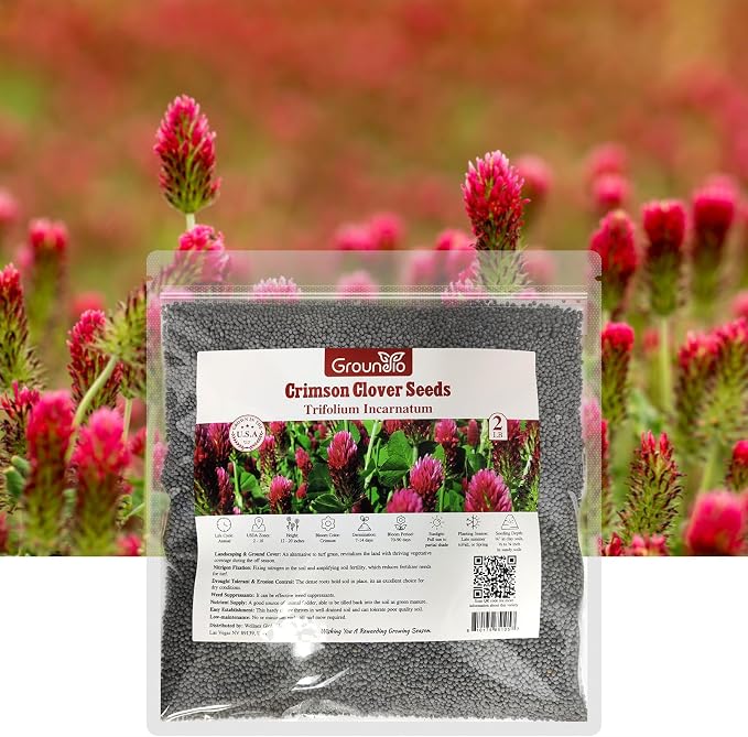 Groundio Annual Crimson Clover Seeds, 2 lbs, Trifolium Incarnatum Seeds for Lawn, Attracts Pollinators, Nitrocoated and Inoculated Seeds for Garden(Trifolium Repens)