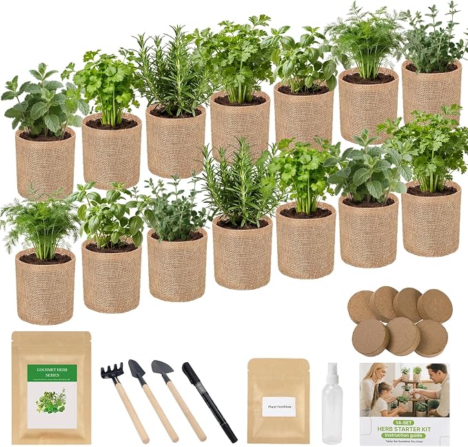 Herb Indoor Window Garden Kit - House Plants Seeds - Best Unique Christmas Gift Ideas for Women, Friend, Birthday, Housewarming, Mother, Beginner DIY Craft & Hobby Gardening Gift for Plant Lovers