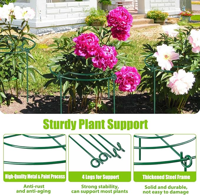 4 Pack Peony Cages and Supports, 11.5" Dx16 H Plant Supports for Outdoor Plants, Heavy Duty Metal Peony Support Cage Flower Support Rings, Plant Support Ring for Rose Tomato Hydrangea Strawberry