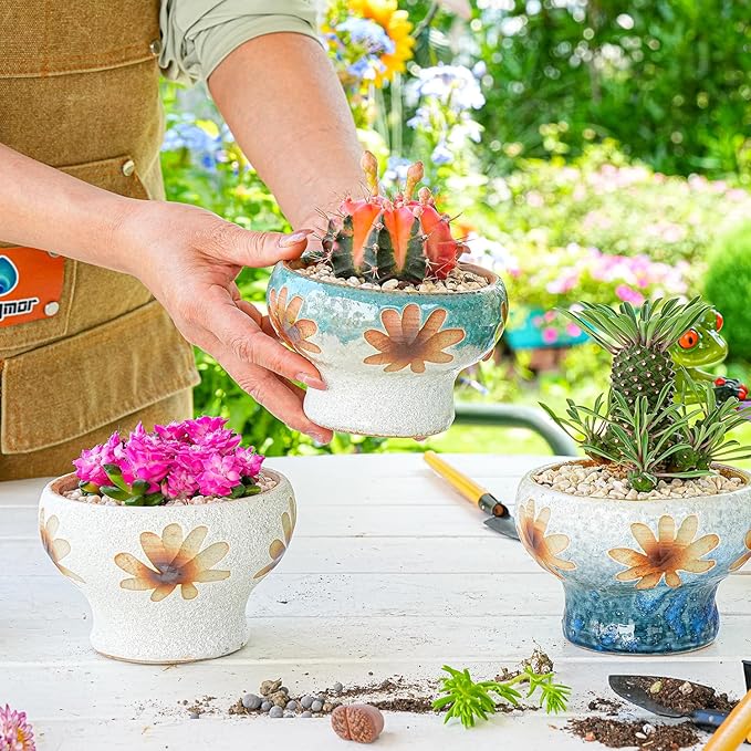 Sungmor Small Succulent Planters Set of 3, Beautiful Hand Crafted Ceramic Plant Pots Cute Cactus Pot, 4.9 Inch Flower Pots for Indoor Plants with Drainage, Desktop Windowsill Home Office Decor Pots