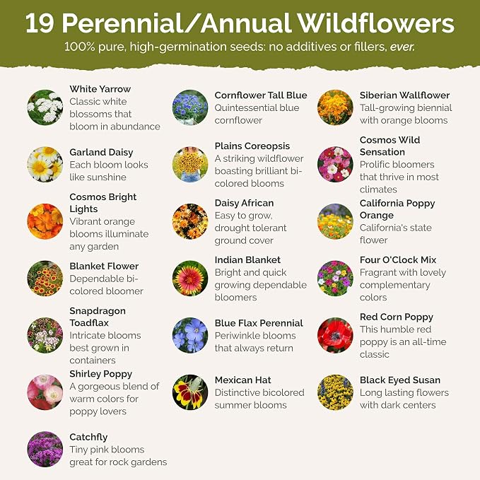 Eden Brothers Utah Wildflower Mixed Seeds for Planting, 1 oz, 30,000+ Seeds with Snapdragon, Yarrow | Attracts Pollinators, Plant in Spring or Fall, Zones