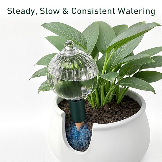 Soilagua 12 oz Plant Watering Globes Top Fill, Clear Glass Water Bulbs with Terracotta Spikes Stake, Vacation Slow Release Self Watering Planter Insert, Automatic Drip Device, 1 Pack