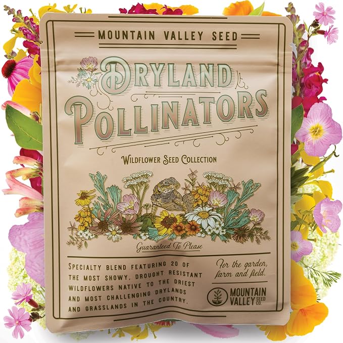 Sustainable Seed Co Wildflower Seed Bulk 2 oz 80,000 Seeds Drought-Tolerant | Mix with 20 Varieties, Pollinator-Friendly, Drought-Resistant Flowers for Dryland Gardens