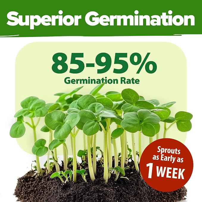 HOME GROWN 70 Variety Vegetable & Herb Seeds 30,600+ USA Non-GMO Heirloom Survival Seeds Garden Kit for Spring, Fall, Winter Indoor & Outdoor Planting Starter Set for Home Gardeners & Preppers