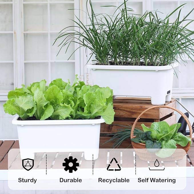 Oliz Self-Watering Rectangle Planter Boxes 8-Pack, 15.7-Inch Window Box Planter with Drainage Holes & Trays, Pots for Vegetables, Herbs, Flowers, Garden Windowsill Balcony (White)