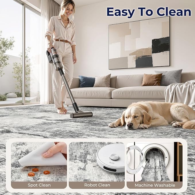 DMOYEST 5x7 Area Rug for Living Room Washable Abstract Indoor Carpet | Neutral Modern Low Pile Rugs Kid & Pet Friendly Soft Thin Carpet for Bedroom Dining Room and Office - Grey
