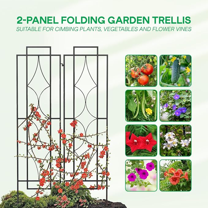 IDZO 2-Piece Diamonds Design Decoration Trellis, Metal Decorative Trellis for Climbing Plants Outdoor, Garden Trellis for Climbing Plants, Climbing Rose Trellis, 48-Inch Tall Each, Black