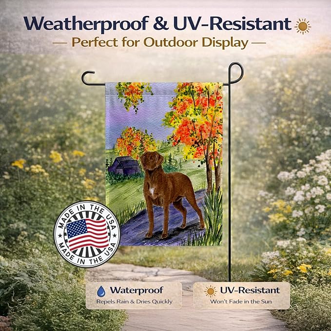 Caroline's Treasures SS8427GF Chesapeake Bay Retriever Garden Flag Mailbox Flag Decorative Yard Flag Banner Outside Patio Artwork Yard Flower Beds, Garden Size, Multicolor