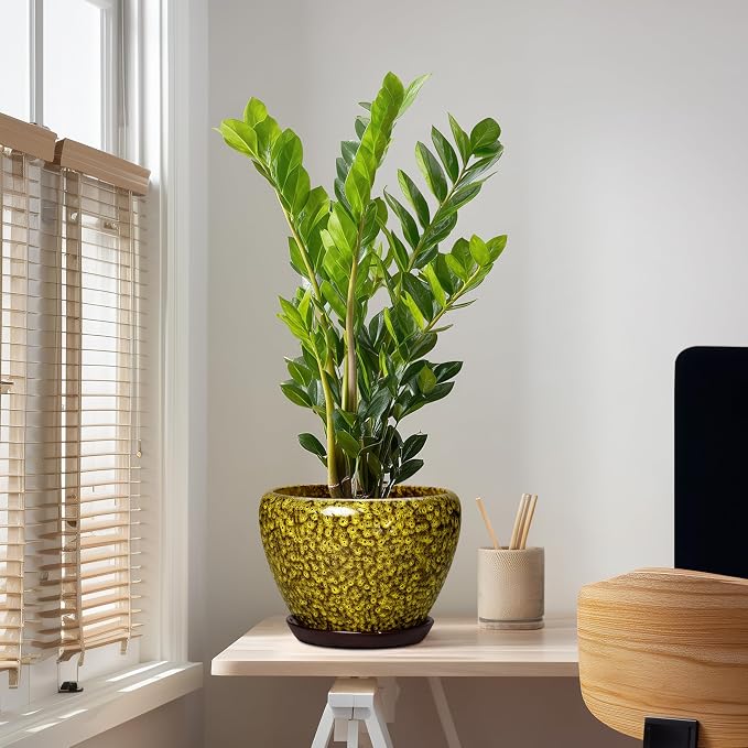 10 Inch Ceramic Plant Pot, Yellow Leopard | Indoor & Outdoor, Drainage Hole & Saucer, Round Planter, Modern Design, Garden Decor