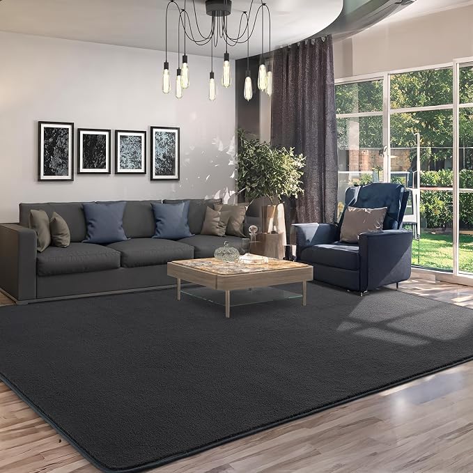 AROGAN 5x7 Area Rugs for Living Room Non Slip Dorm Bedroom Rug, Dark Grey | Modern Area Rugs with Soft Memory Foam, Minimalist Washable Indoor Floor Carpet for Dining Room Office Kids Playroom Decor