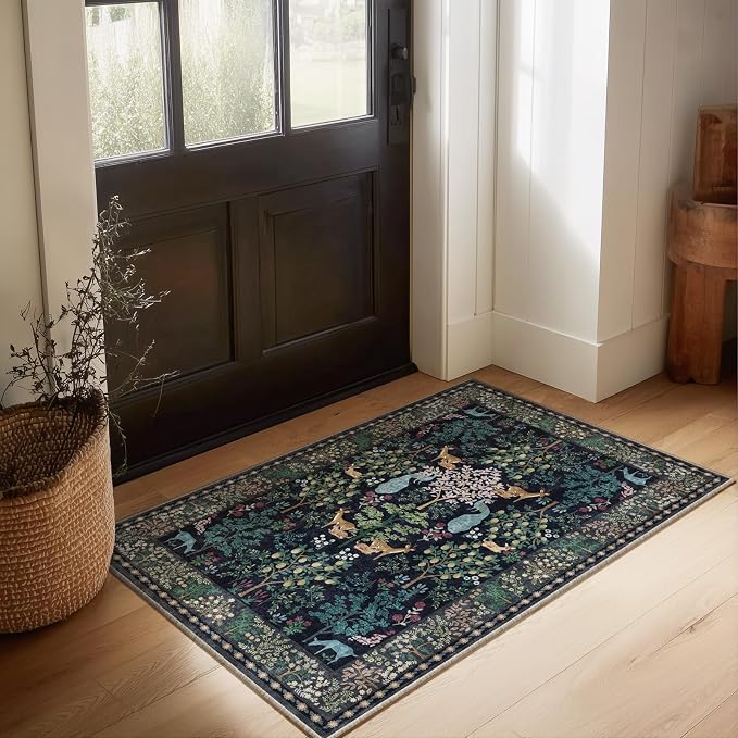 2x3 Washable Throw Rugs for Entryway: Door Mat Indoor Entrance Small Area Rug Non-Slip Low Pile Soft Kitchen Rug for Front Door Indoor Entrance Entry Kids Room Bedside