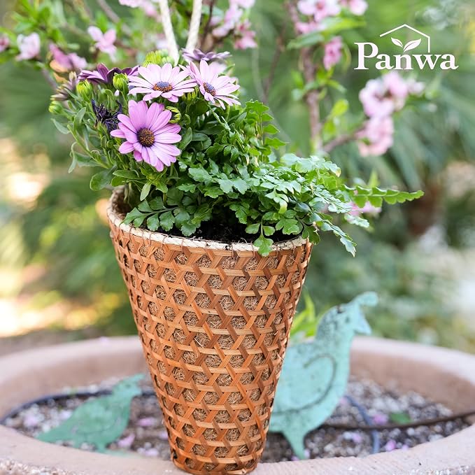 Thai Coconut Fiber Hanging Basket Planter for Indoor Outdoor Patio Summer Decoration, 6 Inch, 2-Pack