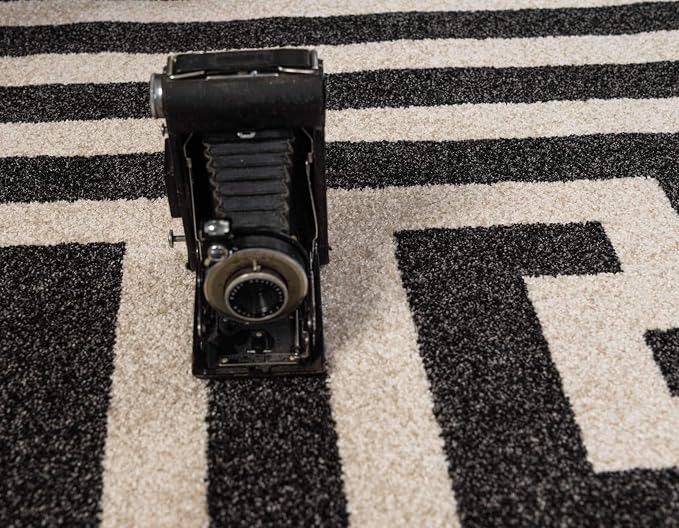 Unique Loom Athens Collection Classic Geometric Modern Border Design Area Rug (5' 0 x 8' 0 Rectangular, Black/ Beige)