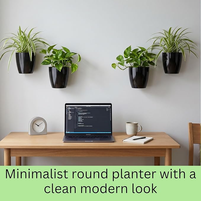 LaLaGreen Wall Planters for Indoor Plants - 10 Pack, 4 Inch Black Self Watering Pots Modern Indoor Hydroponic Vertical Live Garden Wall Mounted Hanging Plant Holder