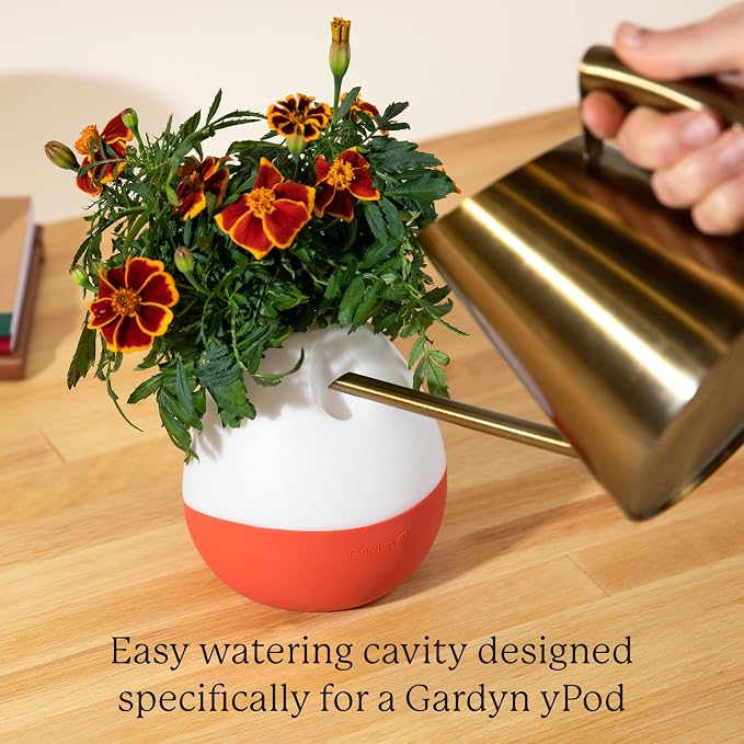 Gardyn Vase Complete Kit - Red Amaranth | Designed for use with Gardyn hydroponics growing system kits & vertical garden hydroponic gardens, indoor plants