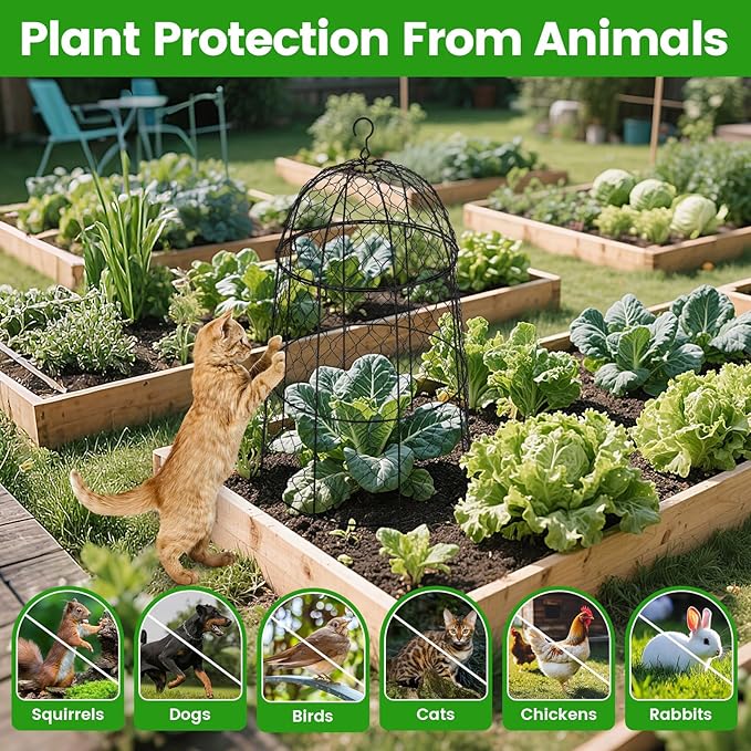 12Pcs garden cloche for plants,20×12.6in large size plant cages for outdoor plants,split design and anti-rust coated chicken wire cloche,sturdy and not easy to deform,plant cages to keep animals out