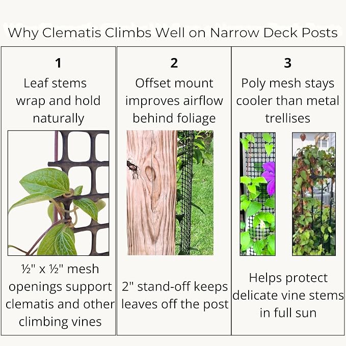 Deck Post Trellis for Clematis, 9 Ft x 4 in, 2 Pack, Scroll Trellis | Fits deck posts, porch columns and mailbox posts. Supports clematis and climbing vines in narrow spaces.