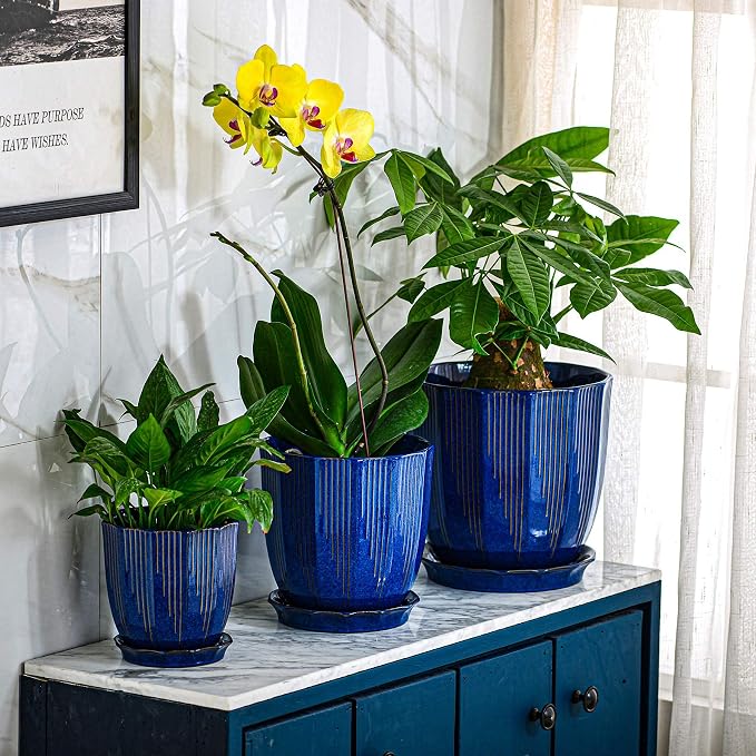 ADN Ceramic Flower Pots Indoor with Saucer - 6 Inch Plant Pot, Hand Glazed Ceramic Planter for All House Plants with Drainage Hole and Tray, Navy