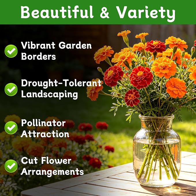 LUOJIBIE Marigold Seeds, 12,000+ Marigold Seeds for Planting Outdoor & Indoor, Flower Seeds Bulk for Gardening and Home, Non-GMO Heirloom, Easy to Grow