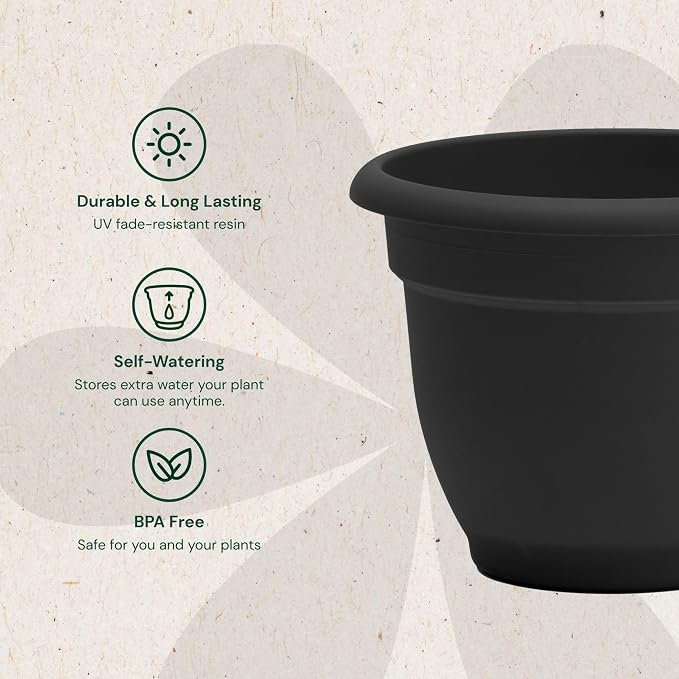 Bloem Ariana 16" Self-Watering Plastic Planter - Rolled Rim Indoor/Outdoor Garden Pot, Black, 2-Pack