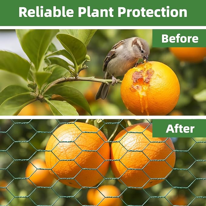 Chicken Wire for Floral Arrangements - Hexagonal Galvanized PVC Coated Poultry Wire Mesh Netting with Gloves, Wire Cutter & Zip Ties for Crafts, Poultry, Gardening Fence (15.7 x 393 lnches)