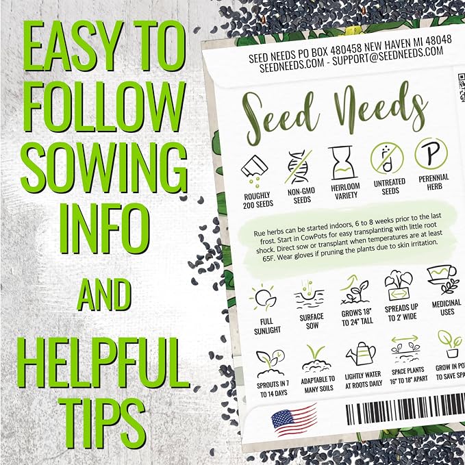 Seed Needs Rue Seeds to Plant Heirloom Non-GMO Medicinal Herbs 10 Pack