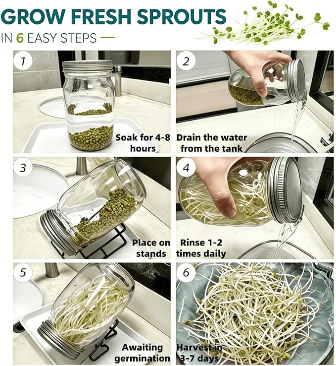 Lanxiu Sprouting Jar Kit, 2PCS Wide Mouth Mason Jars with Sprout Lids | Sprouter Set, with Breathable Sprout Lids, Fast Draining Design, Perfect for Growing Alfalfa, Broccoli, Bean Sprouts