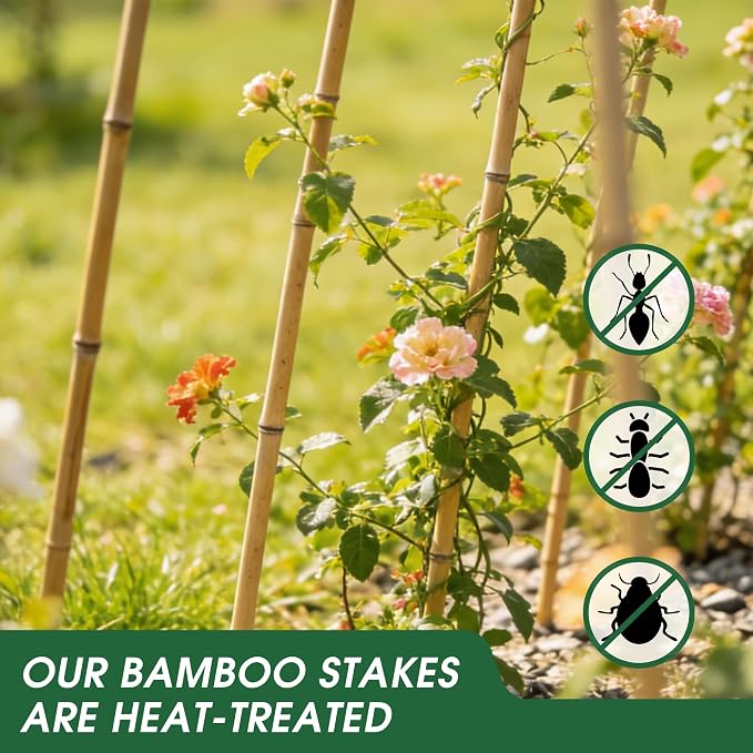 55 Pcs Bamboo Plant Stakes 6 Feet, Oltara Natural Bamboo Sticks Garden Stakes for Climbing Plants Support, Potted Plants, Vegetables,Tomatoes, Beans, Flowers, Trees