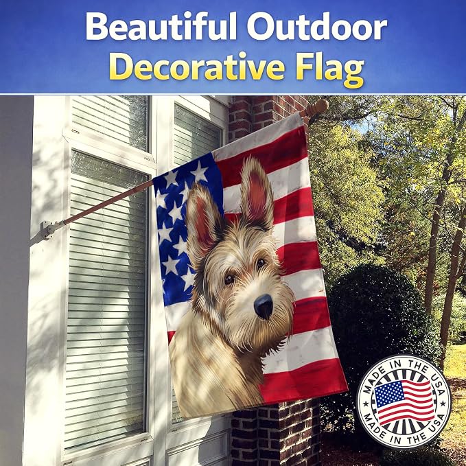Caroline's Treasures CK6432CHF Berger Picard Dog American Flag House Flag Large Porch Sleeve Pole Decorative Outside Yard Banner Artwork Wall Hanging, Polyester, House Size, Multicolor