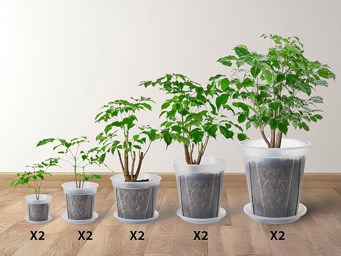 Large Clear Nursery pots for Plants with Saucers,10 pcs 9.5/8.3/7/6/5 inch Thick Plastic Nursery pots for Plants with Drainage Holes for Monstera,Aroid
